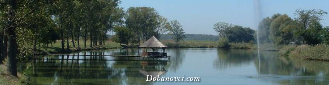 Dobanovci OnLine
